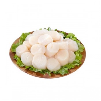 CỒI SÒ ĐIỆP - ẨM THỰC TINH HOA NHẬT BẢN - 1KG  (size 40-60) 