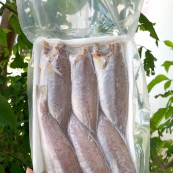 CÁ ĐÙ MỘT NẮNG (SIZE LỚN 14-16 CON/ 1KG) - 500G